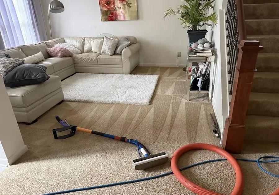 A technician running an extraction wand over soaked carpet to pull out standing water